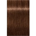 Igora Royal B-6 Brown Chocolate 60ML