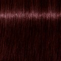 Igora Royal Colour Take Over 5-819
