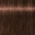 Igora Royal Colour Take Over 6-491 60ml