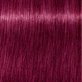 Igora Royal 0-89 Concentrate Red Violet 60ml