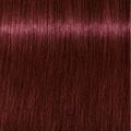 Igora Royal Dark Blonde Magenta 60ml