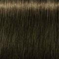 Igora Royal 6-4 Dark Blonde Beige 60ml