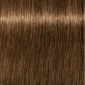 Igora Royal 6-5 Dark Blonde Gold 60ml