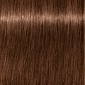 Igora Royal 6-6 Dark Blonde Chocolate 60ml