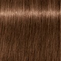 Igora Royal 6-65 Dark Blonde Chocolate Gold 60ml