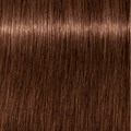 Igora Royal 6-68 Dark Blonde Chocolate Red 60ml