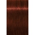 Igora Royal B-8 Brown Red 60ML