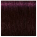 Igora Absolute 4-90 Medium Brown Violet Natural  60ml