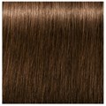 Igora Absolute 5-50 Light Brown Gold Natural  60ml