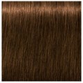 Igora Royal Absolutes 6-50 Dark Blonde Gold Natural 60ml