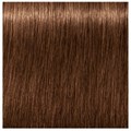 Igora Absolute 6-60 Dark Blonde Chocolate Natural 60ml