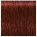 Igora Absolute 6-80 Dark Blonde Red Natural 60ml