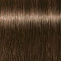 IR Absolutes Medium Blonde Beige natural