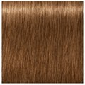 Igora Royal Absolutes 7-450 60ml