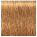 Igora Absolutes 9-60 Extra Light Blonde Chocolate Natural 60ml