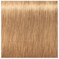 Igora Royal Absolutes 9-560