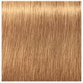 Igora Absolutes 9-50 Extra Light Blonde Gold Natural 60ml