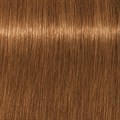 Extra Light Blonde Beige Choc Natural