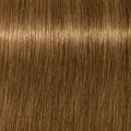 Medium Blonde Beige Choc Natural