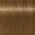 Extra Light Blonde CendrŽ Beige Natural