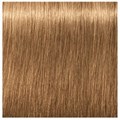 Igora Absolutes 8-50 Light Blonde Gold Natural  60ml