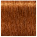 Igora Absolute 7-70 Medium Blonde Copper Natural 60ml