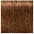 Igora Absolutes 7-60 Medium Blonde Chocolate Natural 60ml