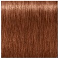 Igora Royal Absolutes 7-560 60ML