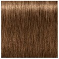Igora Absolutes 7-50 Medium Blonde Gold Natural 60ml