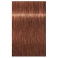 Igora Royal 7-45 Medium Blonde Beige Gold 60ml