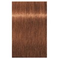 Igora Royal 7-71 Medium Blonde Copper Cendre 60ml