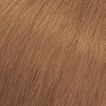 SoColor Sync 6WN