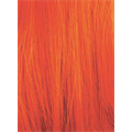 ELUMEN PLAY ORANGE 120ML