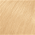 Color Sync 10WN