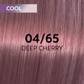 Wella Shinefinity Tint 60ml 04-65
