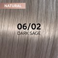 Wella Shinefinity Tint 60ml 06-02
