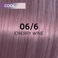 Wella Shinefinity Tint 60ml 06-6