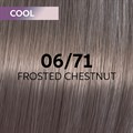 Wella Shinefinity Tint 60ml 06-71
