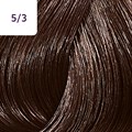 Color Touch 60ml Rich Naturals 5/3