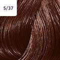 Color Touch 60ml Rich Naturals 5/37