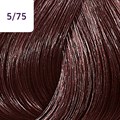 Color Touch 60ml Deep Browns 5/75