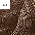 Color Touch 60ml Rich Naturals 6/3