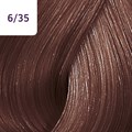 Color Touch 60ml Rich Naturals 6/35