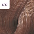 Color Touch 60ml Rich Naturals 6/37