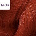 Color Touch 60ml Vibrant Reds P5 66/44