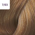 Color Touch 60ml Pure Naturals 7/03