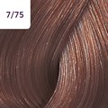 Color Touch 60ml Deep Browns 7/75