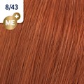 KP ME+ Vibrant Reds 8/43 60ml