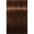 $ Igora Royal Absolute Dark Blonde Beige
