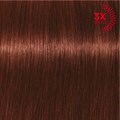 Xpress Color 6.65 Dark Blonde Red Mahogany 60ml